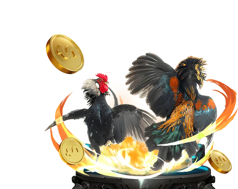 Đá Gà Trực Tiếp 268bet